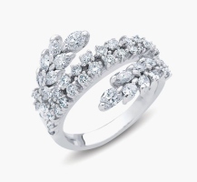 rings_016