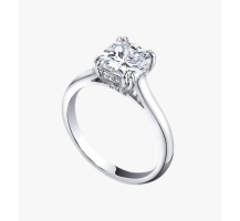 rings_025